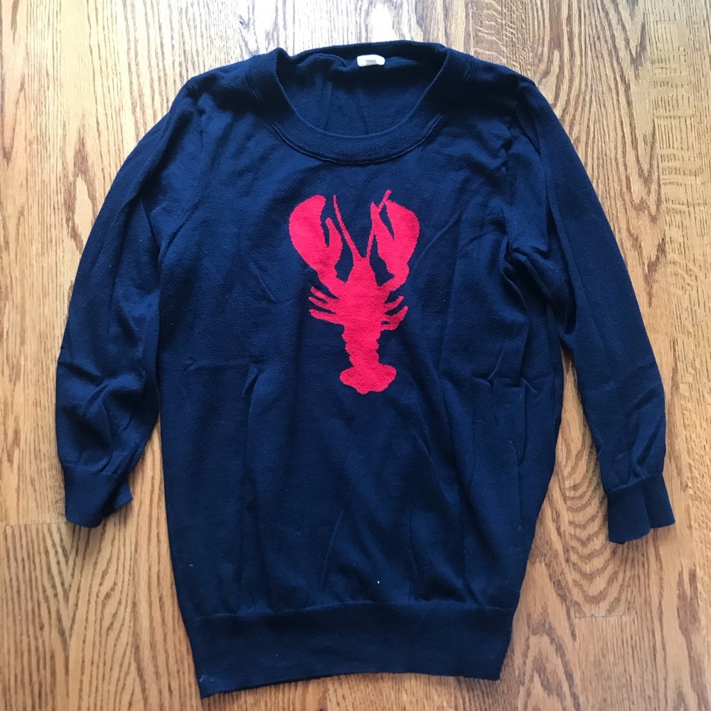 J.Crew Factory Navy & Red lobster teddi sweater